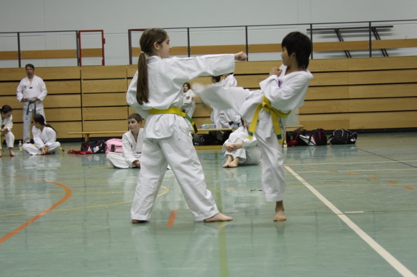 Einschrittkampf Gelb-Grün-Gurte Einschrittkampf Gelb-Grün-Gurte