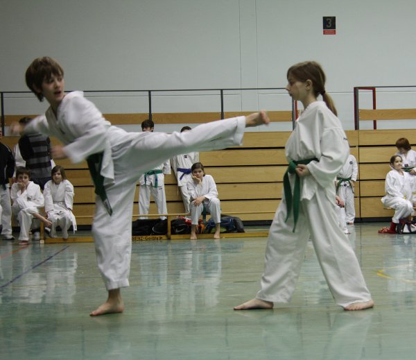 Einschrittkampf Grün-Gurte Einschrittkampf Grün-Gurte