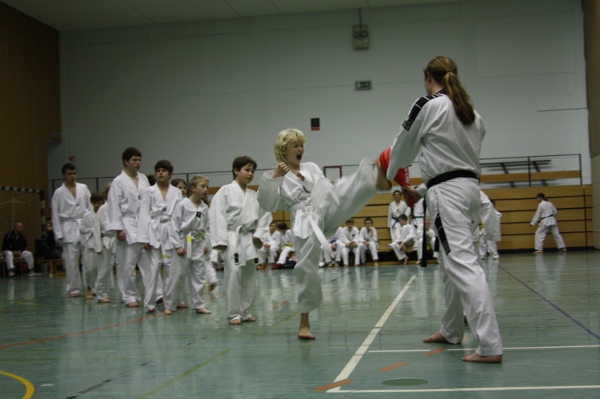 Pratze Weiß- und Weiß-Gelb-Gurte Pratze Weiß- und Weiß-Gelb-Gurte