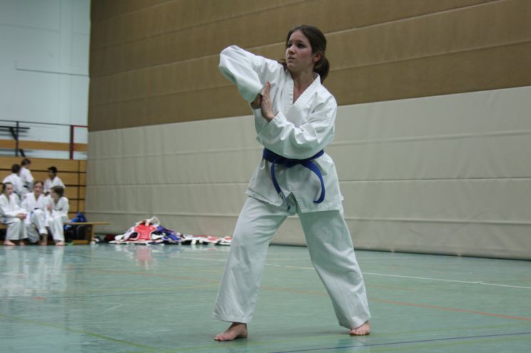 Lisa bei der Taegeuk Oh Jang Lisa bei der Taegeuk Oh Jang