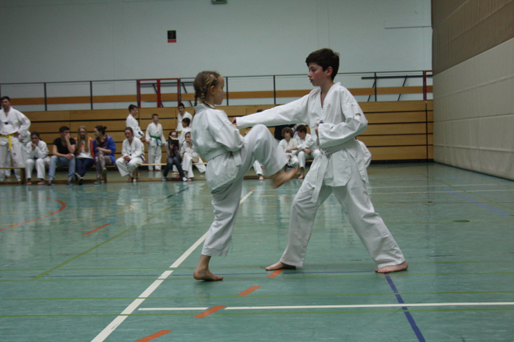 Prüfungsfach Einschrittkampf